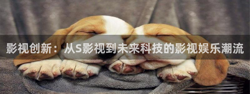 橘子和小贤最新视频：影视创新：从S影视到未来科技的影视娱乐潮流