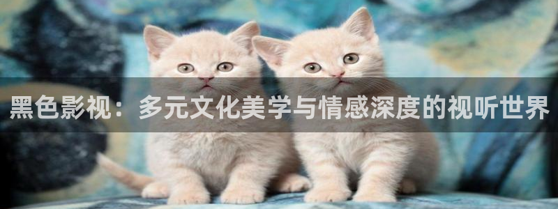 橘子视频免费看电影：黑色影视：多元文化美学与情感深度的视听世界