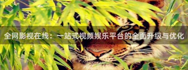 橘子影视tv版：全网影视在线：一站式视频娱乐平台的全面升级与优化