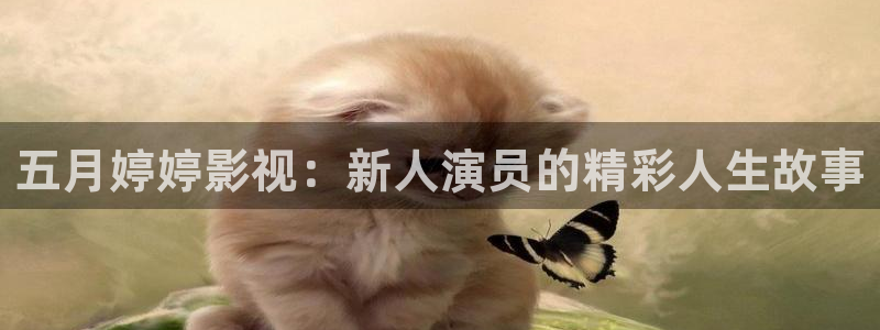 小橘子影视剧：五月婷婷影视：新人演员的精彩人生故事